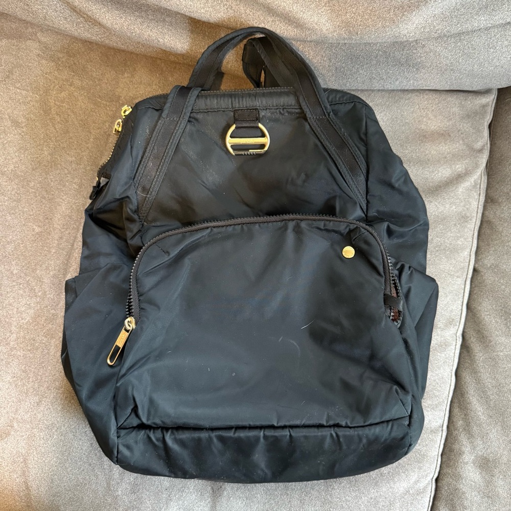 Pacsafe Citysafe CX Anti-theft Travel Backpack
